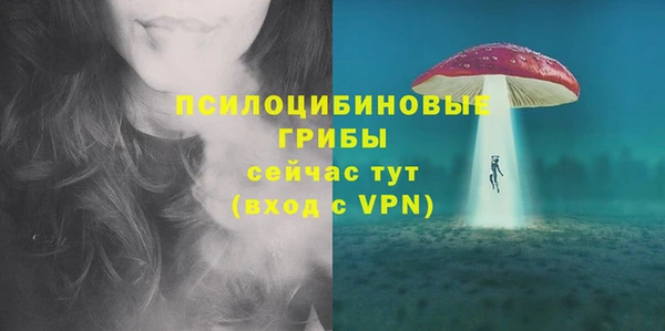 мдпв Балабаново