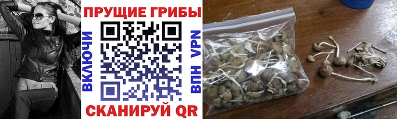 Галлюциногенные грибы GOLDEN TEACHER  закладки  Белёв 